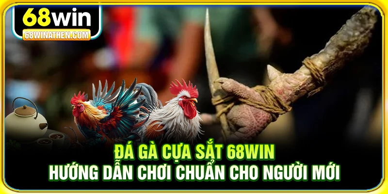 Đá gà cựa sắt 68win